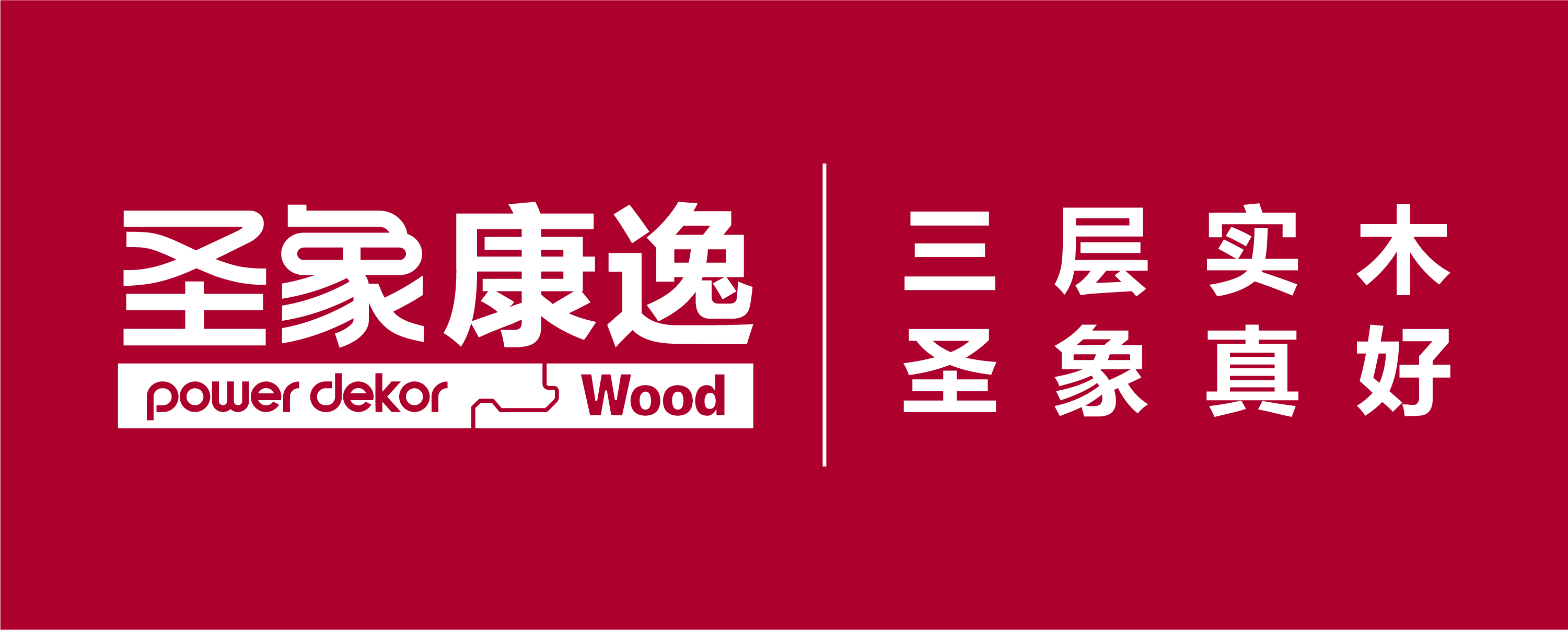 康逸logo